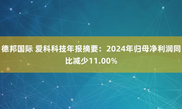 德邦国际 爱科科技年报摘要：2024年归母净利润同比减少11.00%